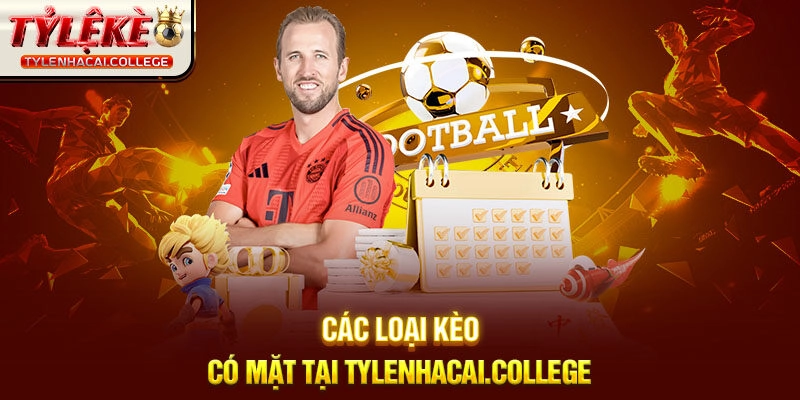 cac-loai-keo-co-mat-tai-tylenhacai-college